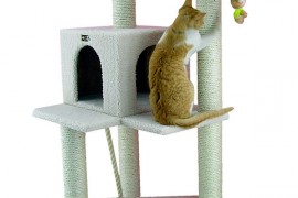 best cat trees